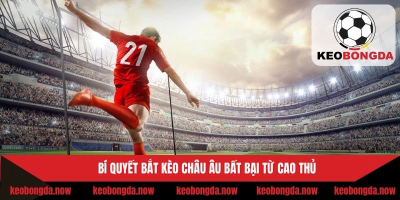 Bật mí chiến thuật soi kèo 1 x 2 bất bại