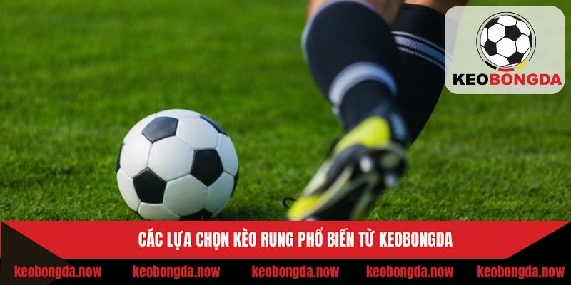 Các lựa chọn kèo rung phổ biến từ Keobongda