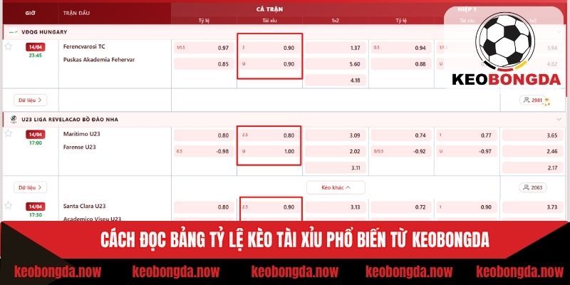 Cách đọc bảng tỷ lệ kèo tài xỉu phổ biến từ Keobongda