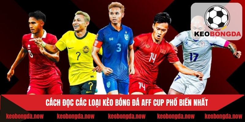 Hướng dẫn đọc kèo bóng đá AFF Cup phổ biến