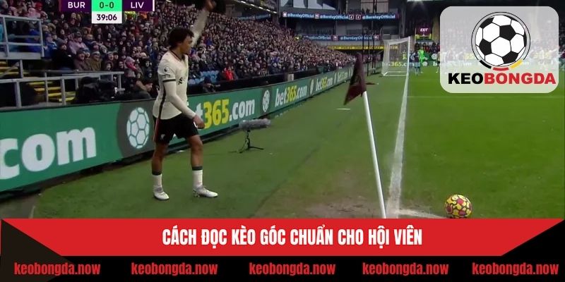 Hướng dẫn đọc kèo chuẩn nhất thành viên
