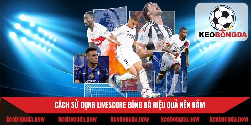Hướng dẫn cách dùng công cụ livescore