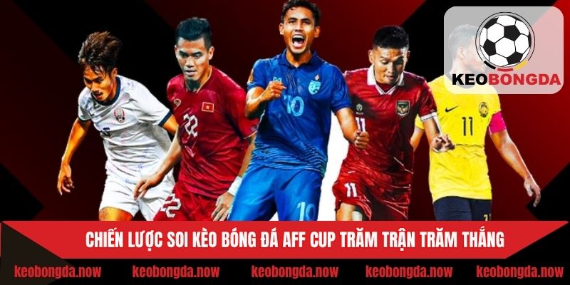 Bí kíp nhận định bóng đá AFF Cup chuẩn nhất