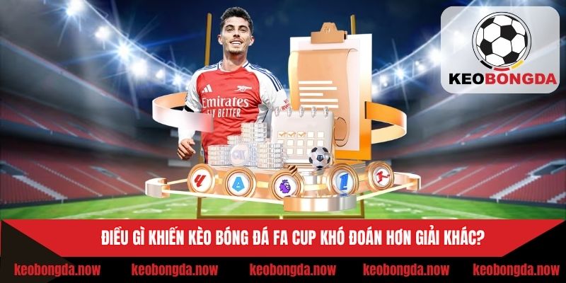 Lý do khiến việc tham gia cược FA Cup khó đoán