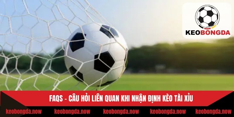 Giải đáp thắc mắc khi soi kèo cho người mới