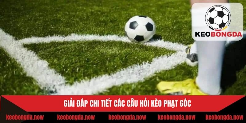 Giải đáp chi tiết các câu hỏi kèo phạt góc