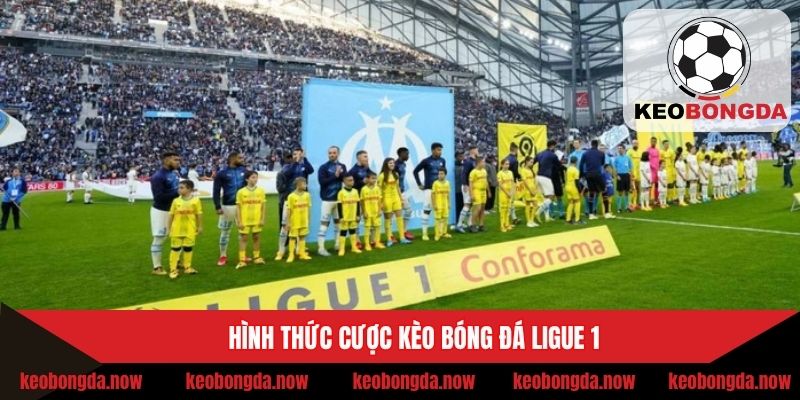 Hình thức cược kèo bóng đá Ligue 1
