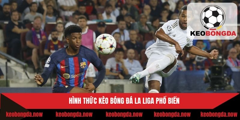 Hình thức kèo bóng đá La Liga phổ biến