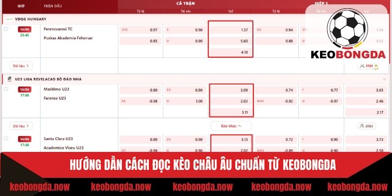 Chỉ dẫn cách đọc kèo châu Âu chuẩn xác