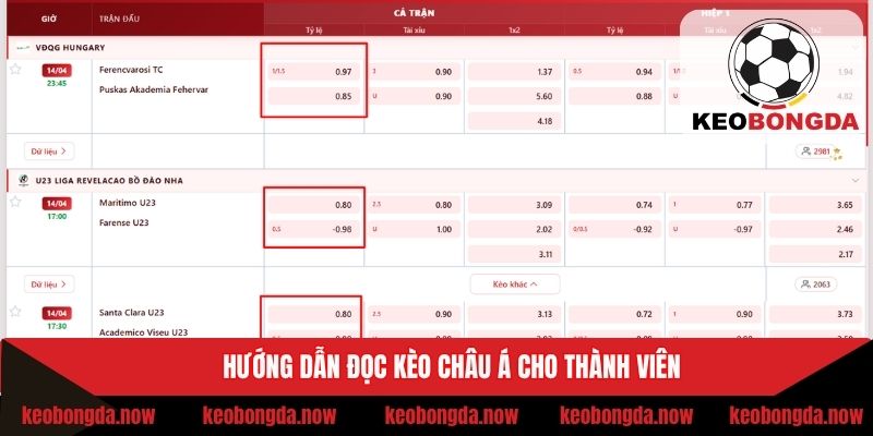 Cách đọc kèo handicap chuẩn cho hội viên