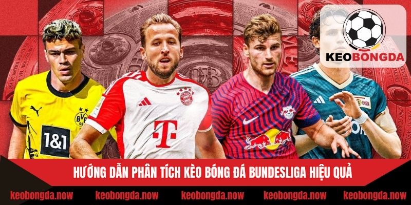 Hướng dẫn phân tích kèo bóng đá Bundesliga hiệu quả