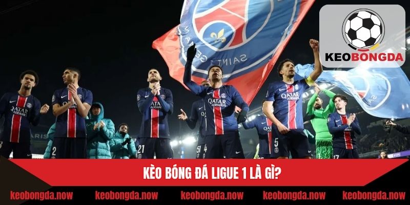 Chi tiết về kèo cược bóng đá giải Ligue 1