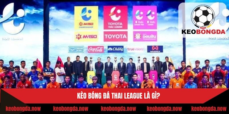 Khái quát về kèo bóng đá VĐQG Thái
