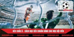 Kèo Châu Á - Cách Đọc Kèo Chuẩn Dành Cho Mọi Hội Viên