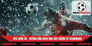 Kèo Châu Âu - Hướng Dẫn Cách Đọc Kèo Chuẩn Từ Keobongda