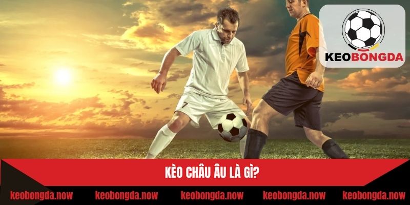 Khái niệm cơ bản về kèo 1 × 2