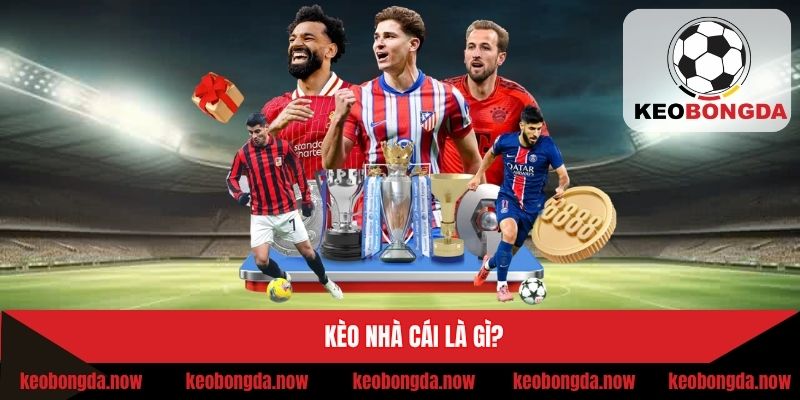 Giải mã khái niệm về tỷ lệ kèo tại nhà cái