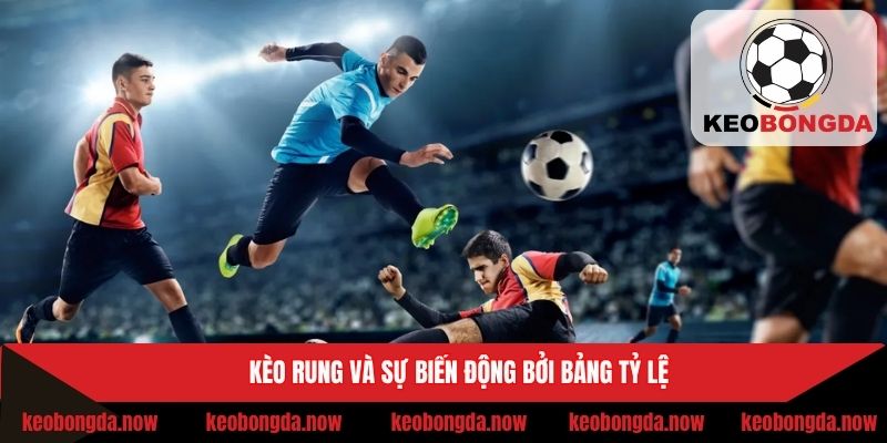 Kèo rung và sự biến động bởi bảng tỷ lệ