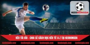 Kèo Tài Xỉu - Chia Sẻ Cách Đọc Kèo Từ A-Z Tại Keobongda