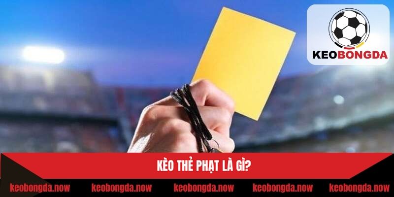 Giải đáp cụ thể về kèo Total Bookings
