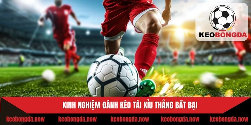 Bí kíp thắng bất bại từ chuyên gia lâu năm