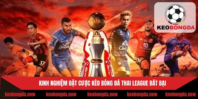 Chiến thuật nhận định kèo bóng đá Thai League