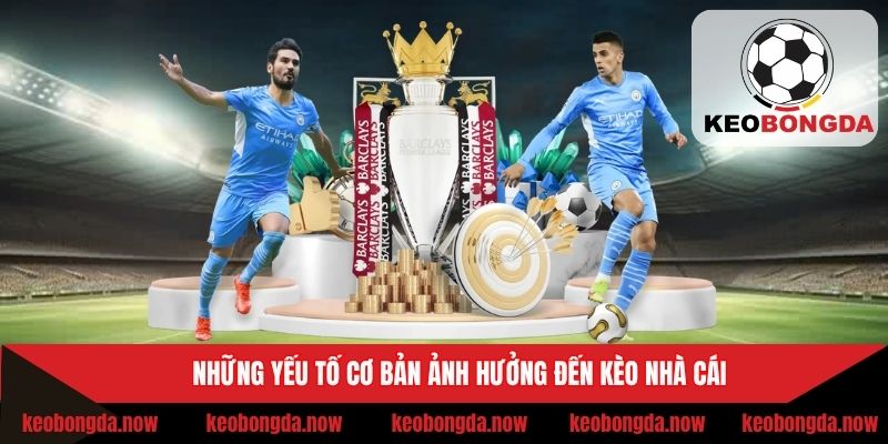 Yếu tố chính ảnh hưởng đến tỷ lệ odds