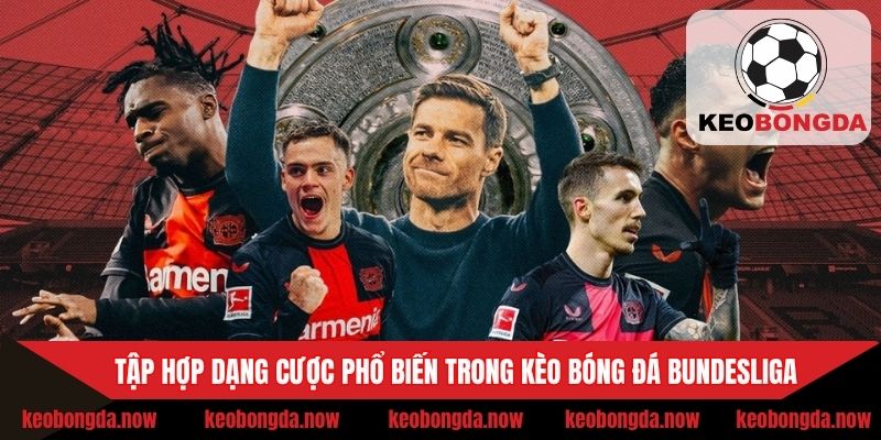 Tập hợp dạng cược phổ biến trong kèo bóng đá Bundesliga