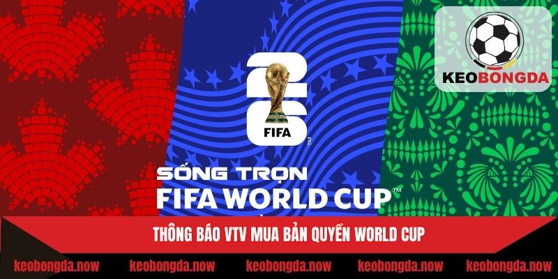 Cập nhật tin tức mới nhất bản quyền phát sóng World Cup