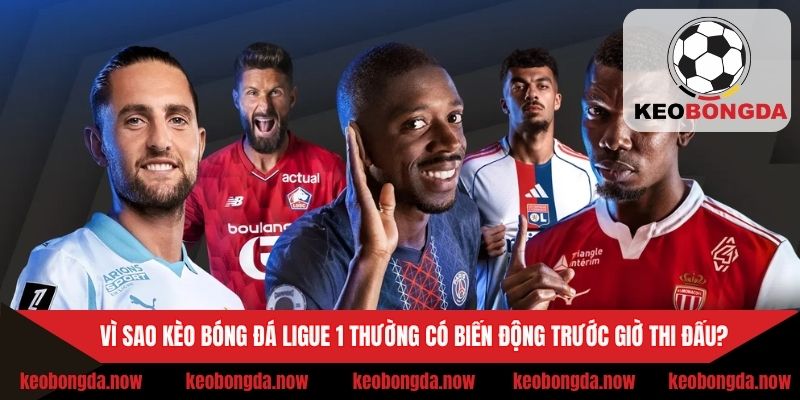Lý do kèo Ligue 1 thường có sự biến động