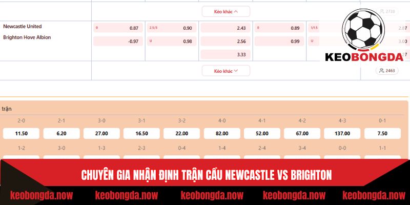Chuyên gia nhận định trận cầu Newcastle vs Brighton