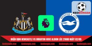 newcastle vs brighton hove albion