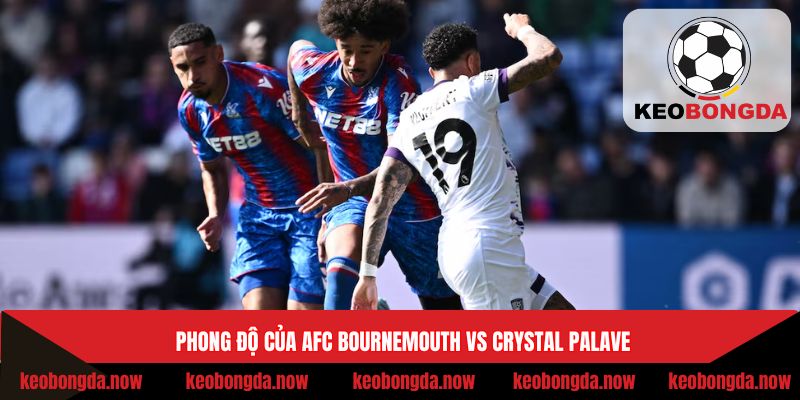Phong độ của AFC Bournemouth vs Crystal Palave