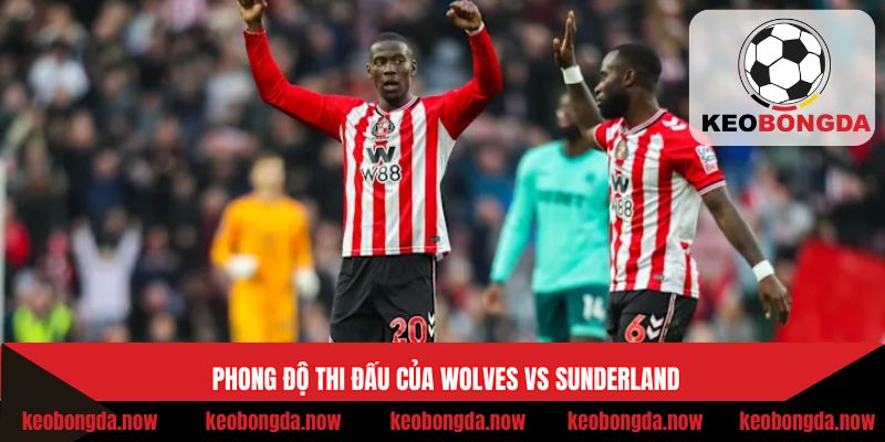 Thành tích thi đấu thời gian qua của Wolves vs Sunderland